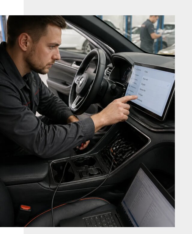 Профессиональная русификация BYD SONG Plus в Павловском Посаде